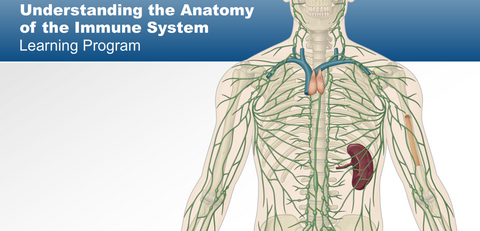 060111 - Understanding the Anatomy of the Immune System